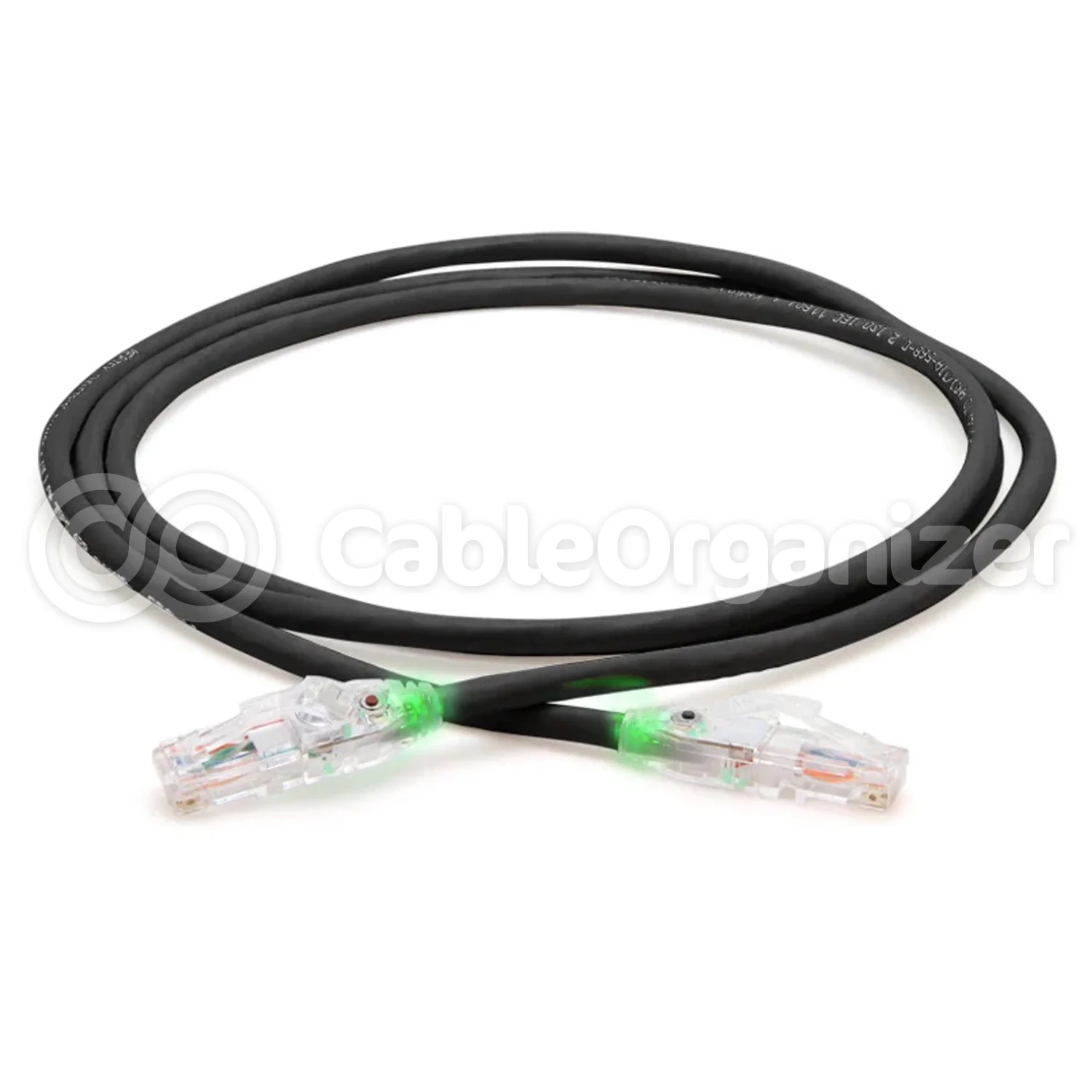 Thumbnail 19